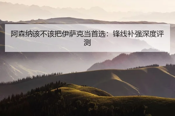 阿森纳该不该把伊萨克当首选：锋线补强深度评测
