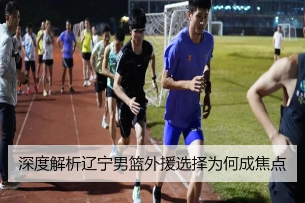 深度解析辽宁男篮外援选择为何成焦点